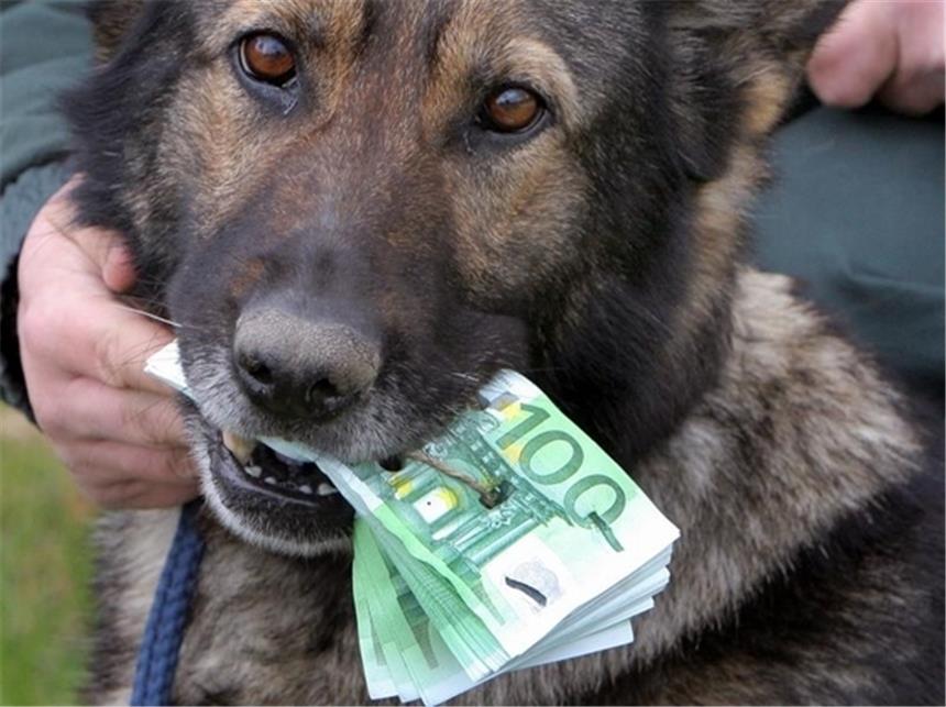 Millionenschwerer Fahndungserfolg des Zolls Innerhalb einer Woche fand der Zoll 5,5 Millionen Euro, die illegal ins Ausland gebracht werden sollten. (Symbolbild)
