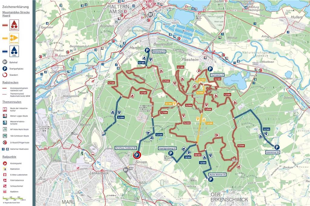 RVR eröffnet neuen Mountainbike-Trail in der Haard (mit Video) Insbesondere im Osten der Haard verläuft die Route recht kurvig.
