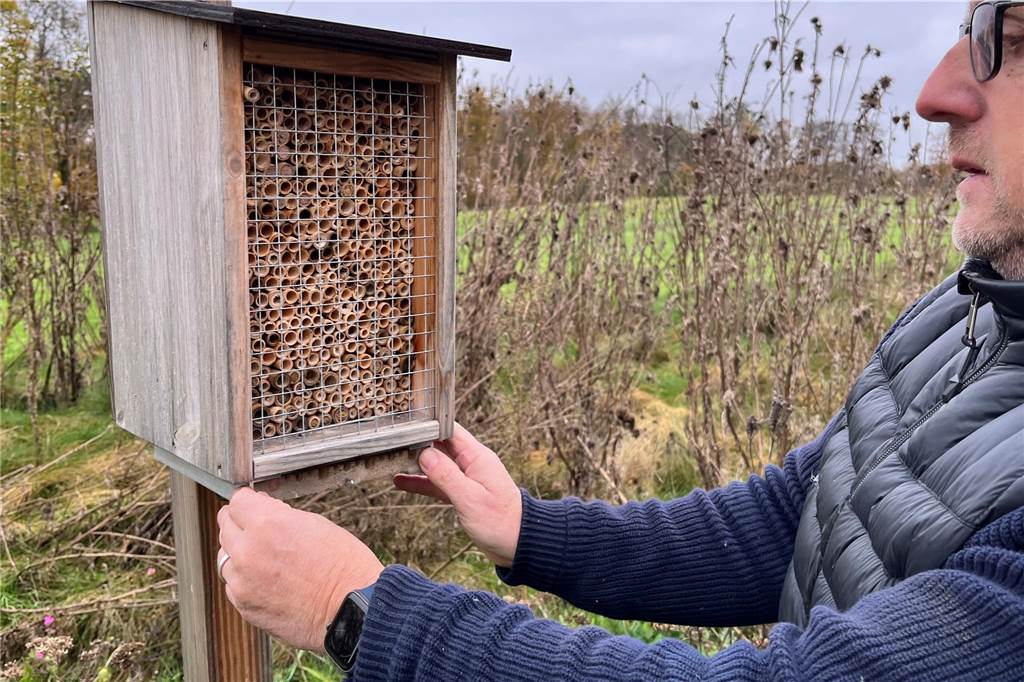 Wildwuchs statt Mähwerk: Ahauser Golfclub nutzt über die Hälfte seiner Fläche für Naturschutz Insektenhotels wie dieses oder noch einmal deutlich größere Varianten, sollen für mehr Artenvielfalt auf dem Golfplatz sorgen. Nur ein kleiner Baustein, der aber offenbar auf großes Interesse bei Mitgliedern und Spielern stößt.