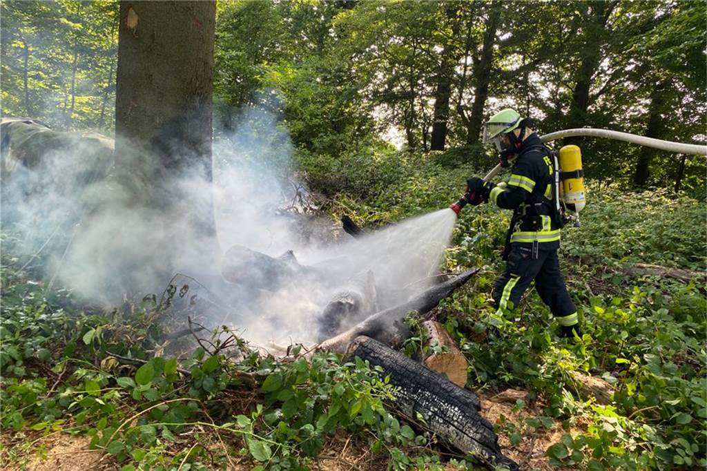 Waldstück in Herbern in Flammen - Feuerwehr verhindert Schlimmeres Insgesamt 14 Feuerwehrleute waren im Einsatz, um den Brand im Wald in Herbern zu löschen.
