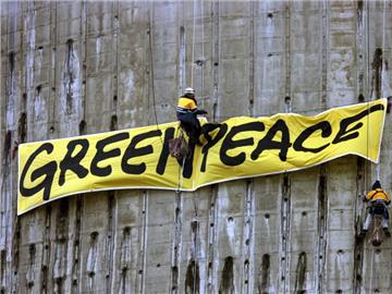 Insgesamt hat Greenpeace noch rund 590 000 Förderer in Deutschland. Foto: Federico Gambarini