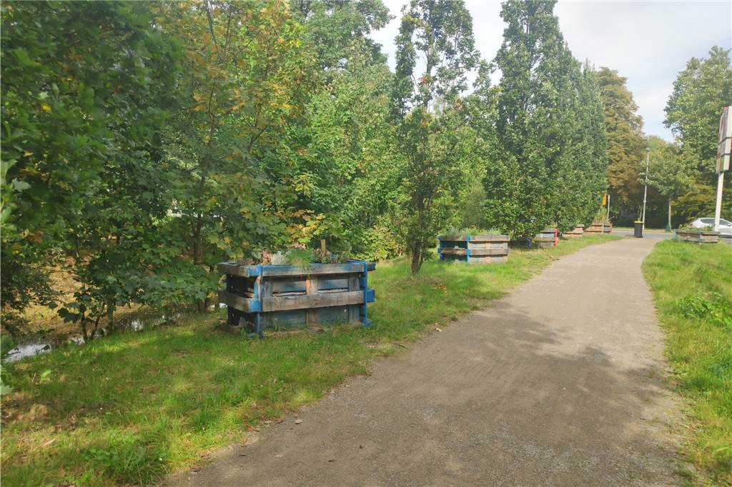 Eine Oase für Pflanzen und Insekten ist hinter Supermarkt in Werne entstanden Insgesamt sechs Beete sind zwischen Hornebach und Horne-Center zu sehen.