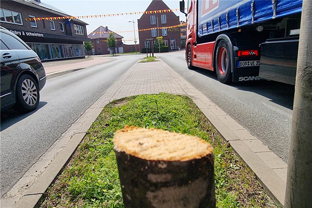 Illegal abgesägte Bäume : Schützenverein distanziert sich ausdrücklich Insgesamt vier Linden wurden in der Nacht zu Sonntag (21. Mai) in Heek abgesägt. Unweit entfernt fand die lange Schützenfestnacht statt. Doch Zeugenhinweise gibt es aktuell noch nicht.
