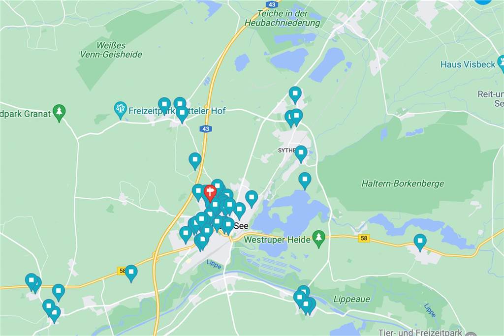 Nur wenige Straßen sind in Haltern nach Frauen benannt Eine Google-Maps Ansicht, in er die männlichen Straßennamen eingezeichnet sind.