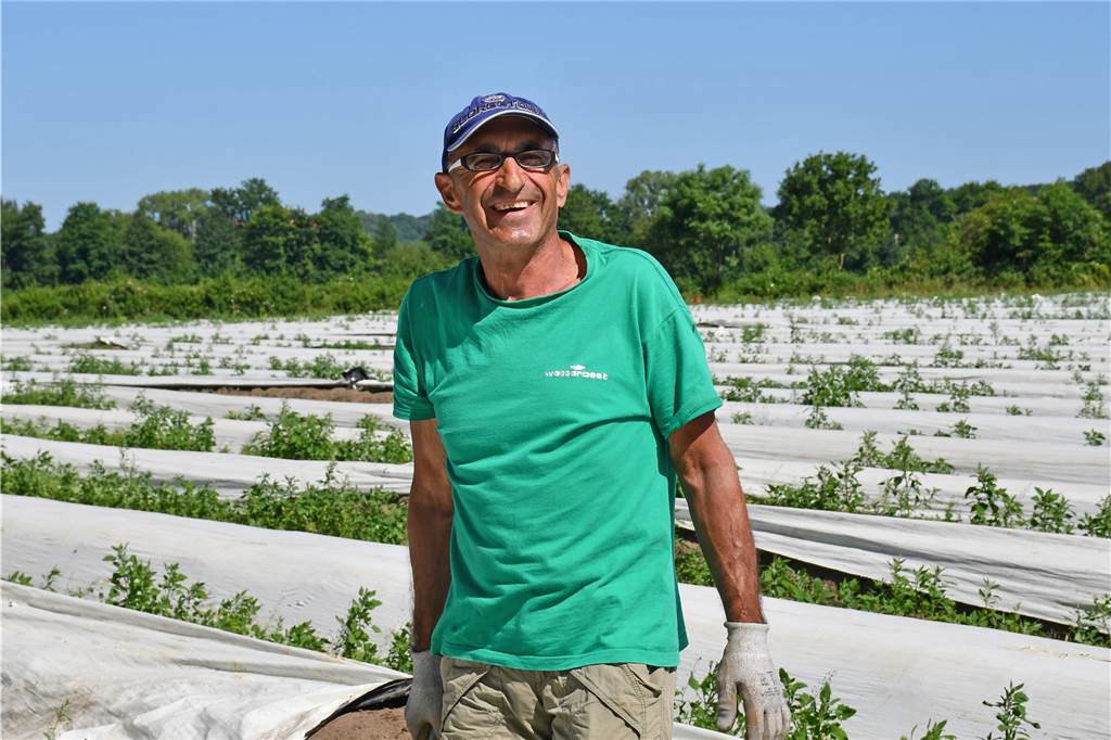 „Aufregende Saison“: Spargelzeit auf dem Hof Schulze Wethmar endet bald Ion Ghiara ist Saisonarbeiter auf dem Hof Schulze Wethmar. Er arbeitet in diesem Jahr schon das elfte Mal auf den Feldern in Lünen als Spargelstecher.