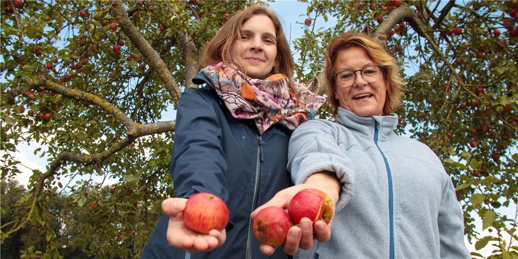 Obsternte von Gemeinde-Bäumen in Legden und Asbeck ausdrücklich erlaubt Iris Ignaszak (l.) und Anchristin Uesbeck waren nur zufällig an den Apfelbäumen an der Straße zum Sportplatz in Asbeck vorbeigekommen, halten es aber für eine gute Idee, dass die Früchte kostenlos geerntet werden können.