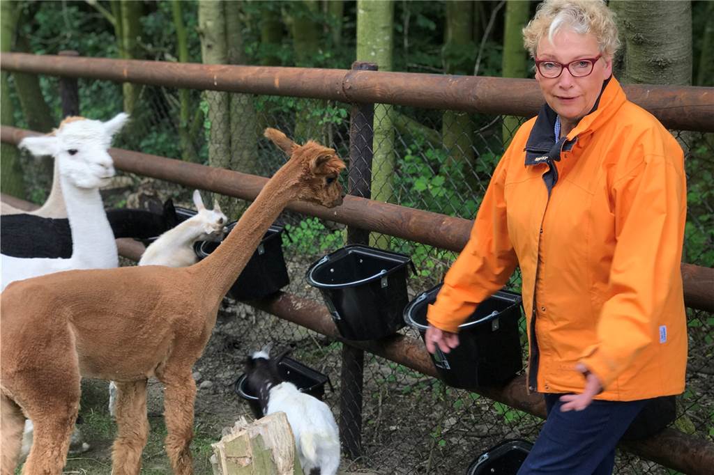 Schock im Wald: Freilaufender Rottweiler greift Alpaka „Wesley“ an und beißt zu Ist geschockt über den Vorfall: Annelene Giese von der Dingener Alpaka-Farm.