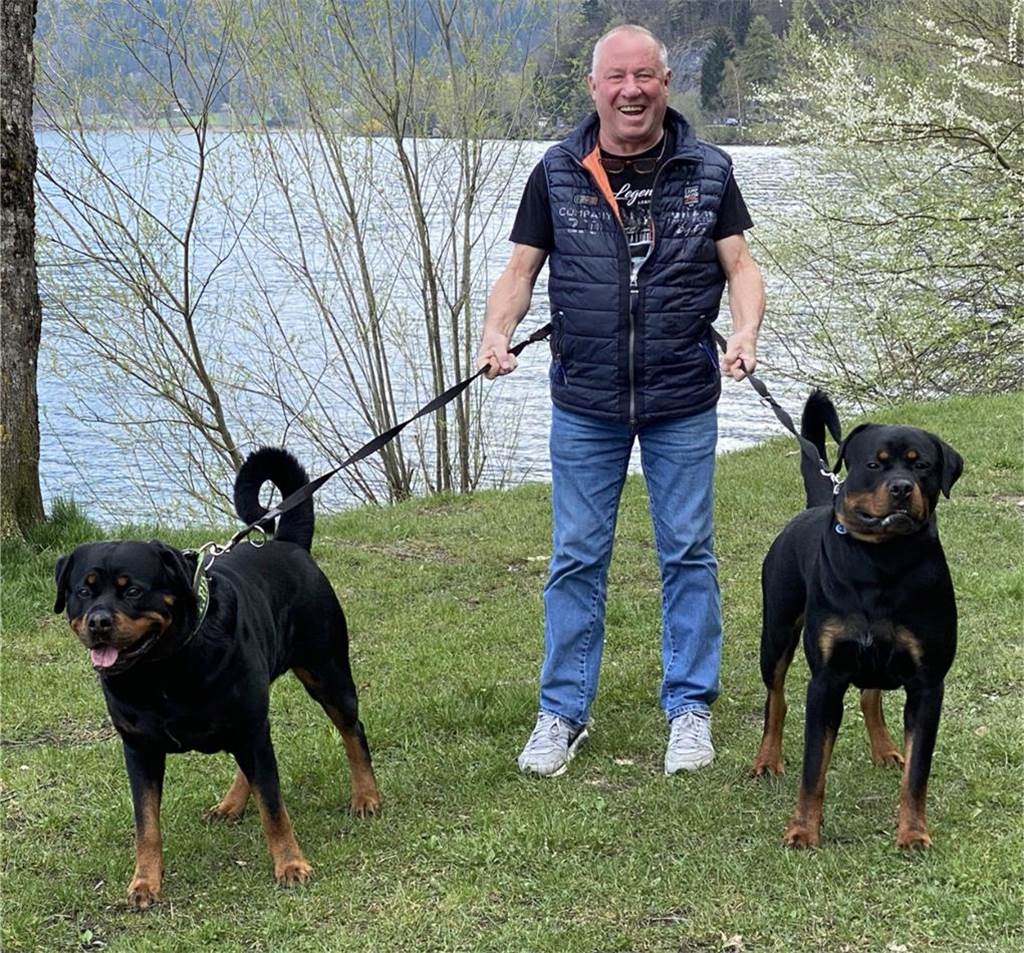 Zu sehen ist ein Mann mit zwei Rottweilern an der Leine.