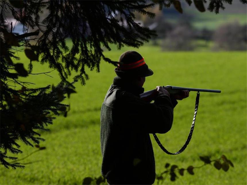 Ist Jagd Tierschutz - Fronten verhärtet Jäger fordern klare Aussagen zum künftigen Jagdgesetz.