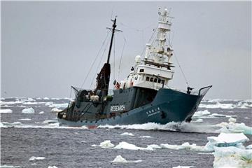 Japanisches Walfangschiff: Seit mehr als 25 Jahren haben Japans Waljäger mehr als 10.000 Großwale in den antarktischen Gewässern getötet. Foto: Michael Williams/Sea Shepherd