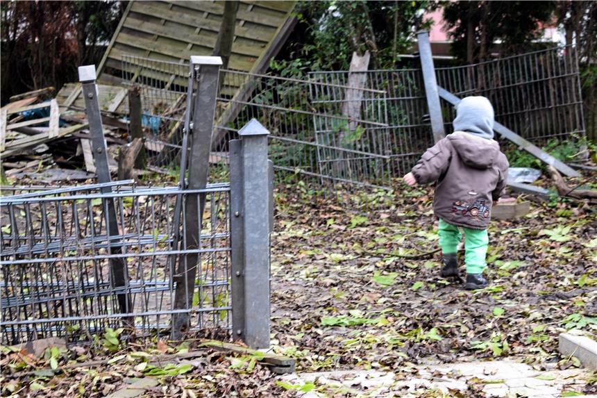 Kinder müssen im Bauschutt spielen Jaron (22 Monate) erkundet den Garten. Der sieht seit dem Sommer aus wie ein Schrottplatz.