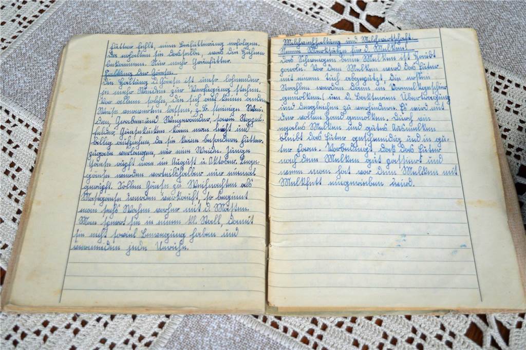 Vom Waschen bis Wursten: Paula Kösters‘ Berichtsheft aus Kriegszeiten Blick in ein aufgeschlagenes Berichtsheft aus den Jahren 1944/45 einer Auszubildenden in Legden.