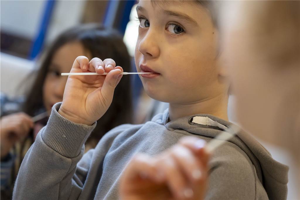 Positiver Pool-Test an Albert-Schweitzer-Schule: „Eigentlich darf ich gar nicht mehr ins Bett gehen“ Jeder Grundschüler wird zweimal pro Woche getestet. Dabei werden jeweils zwei Nasenabstriche genommen.