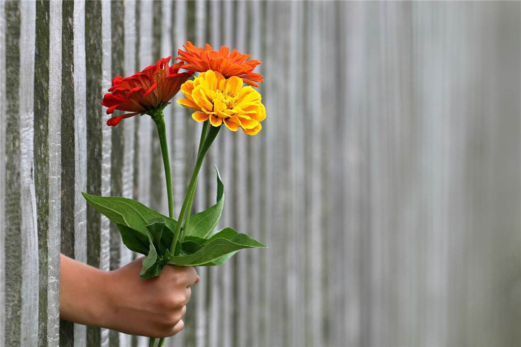 20 kleine und verrückte Ideen, um den Tag glücklicher zu gestalten Jemandem etwas schenken, von dem man nichts zurückerwartet - eine gute Idee.