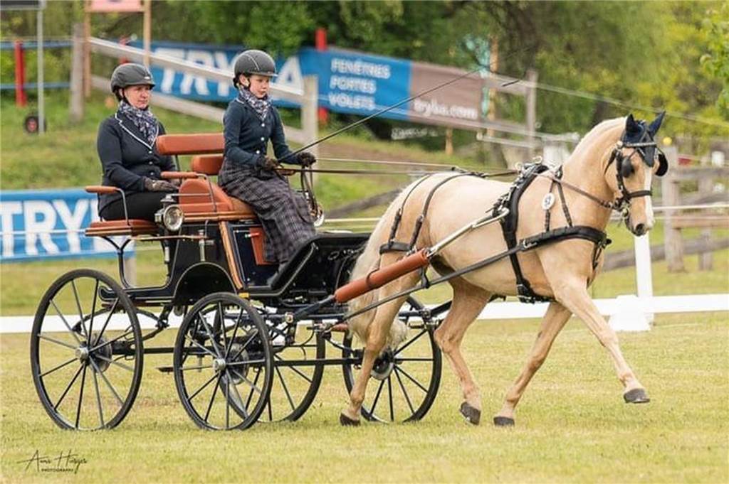 Booms Ponys qualifizieren sich zu Championat und Europameisterschaft Jörne Sophie Wernink und ihre Pony-Stute „Golden Dancing Darling B NRW“
