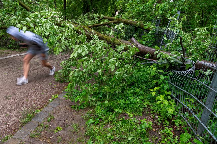 Verband warnt Jogger und Radfahrer: Flut hat Wald gefährlich beschädigt Jogger und Radfahrer sollten nach den Unwettern im vorsichtig sein.
