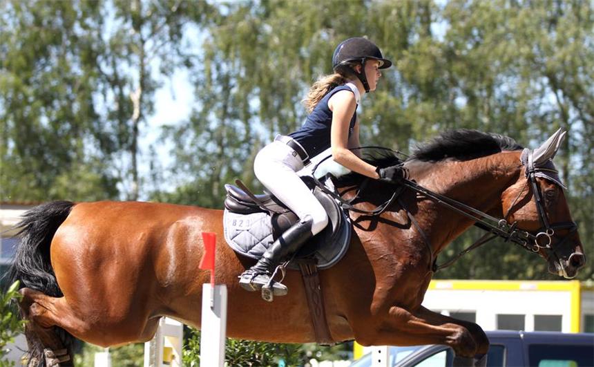 Johanna Schulze Thier wird Mannschafts-Dritte Johanna Schulze Thier belegte mit beiden Pferden den 13. Platz in Hagen.