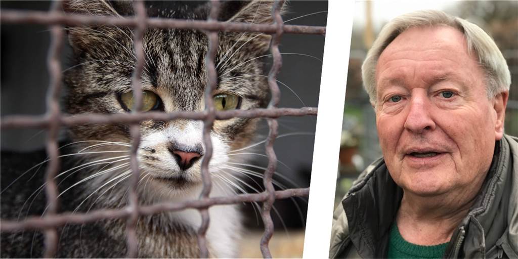 Rappelvoll: Tierheim Castrop-Rauxel schlägt Alarm wegen Corona-Tieren Johannes Beisenherz, Vorsitzender des Tierschutzvereins, schlägt Alarm. Das Tierheim Castrop-Rauxel sei maßlos überlaufen.