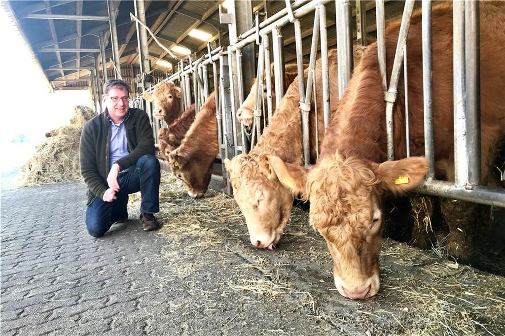 Ausbildung in der Metzgerei: Was viele abschreckt, macht einem Dorstener Azubi keine Angst Josef Bellendorf züchtet selbst Rinder: eine Kreuzung aus Charolais und Limousin.
