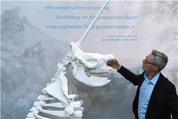Josef Mühlenbrock, Direktor des LWL Museums, neben einer dreidimensionalen Rekonstruktion des Quedlinburger Einhorns. Foto: Caroline Seidel