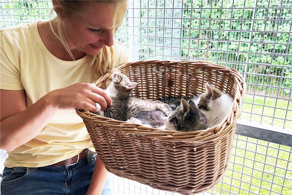 Julia Rehermann schmust mit einem Wurf kleiner Katzenkinder, der im Tierheim gelandet ist.