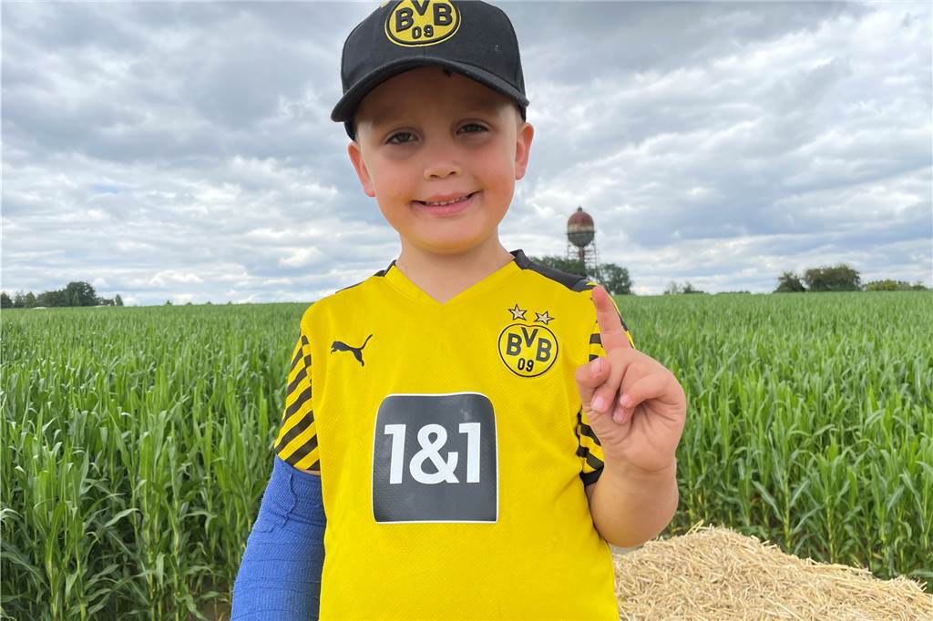 Riesen-Maislabyrinth eröffnet: XXL-Liebeserklärung an den BVB Julius Mertin, der Junior-Hofchef, steht hoch oben auf der Strohburg im Maisfeld. Von hier hat man perfekte Sicht auf das Lanstroper Ei, wie der Vierjährige zeigt.