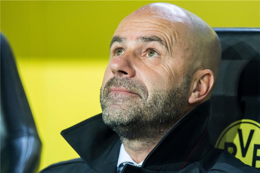 Das Projekt Bosz steht beim BVB auf der Kippe Kämpft um seinen Job: BVB-Trainer Peter Bosz.
