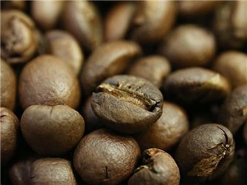 Kaffeetrinker profitieren womöglich gesundheitlich von ihrer Leidenschaft. Zu diesem Schluss kommt ein internationales Forscherteam. Foto: Oliver Berg