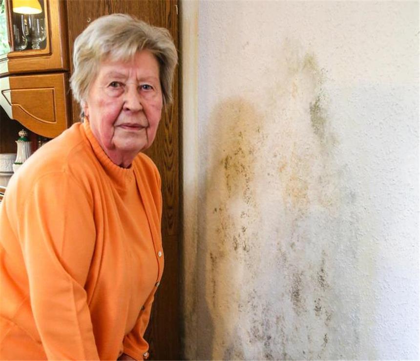 Mieterin hat seit Juli Schimmelpilz in der Wohnung Karin Backe in ihrem Wohnzimmer, wo die Feuchtigkeit trotz einer neuer Tapete wieder durchgekommen ist und Schimmelpilz entstanden ist.
