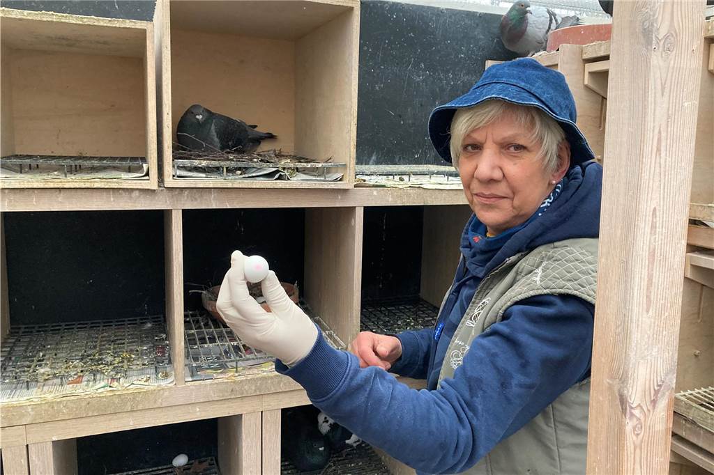 Blick über die Stadtgrenze: Wie gehen andere Kommunen mit Tauben um? Karin Muc aus Marl hält ein Ei aus Gips in der Hand.