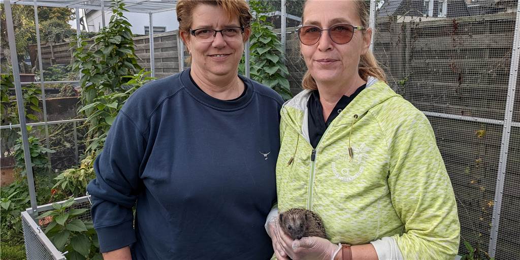 Bis zu 30 Anrufe pro Tag: Igelhilfe Dorsten am Limit Karina Timmer (l.) und Simone Paul-Urff (r.) von der Dorstener Igelhilfe werden momentan oft von Igel-Findern und -Finderinnen kontaktiert.