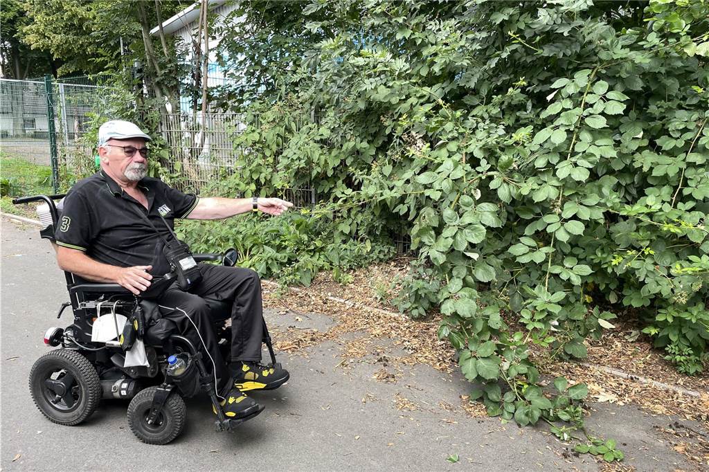 Nach Beschwerde: Anlieger müssen Verbindungsweg bald selbst reinigen Karl-Heinz Quednau stört nicht nur der Dreck auf dem Boden, sondern auch der Wildwuchs entlang des Verbindungsweges in Lütgendortmund. Nach unserem Ortstermin haben EDG und Tiefbauamt für Ordnung gesorgt.