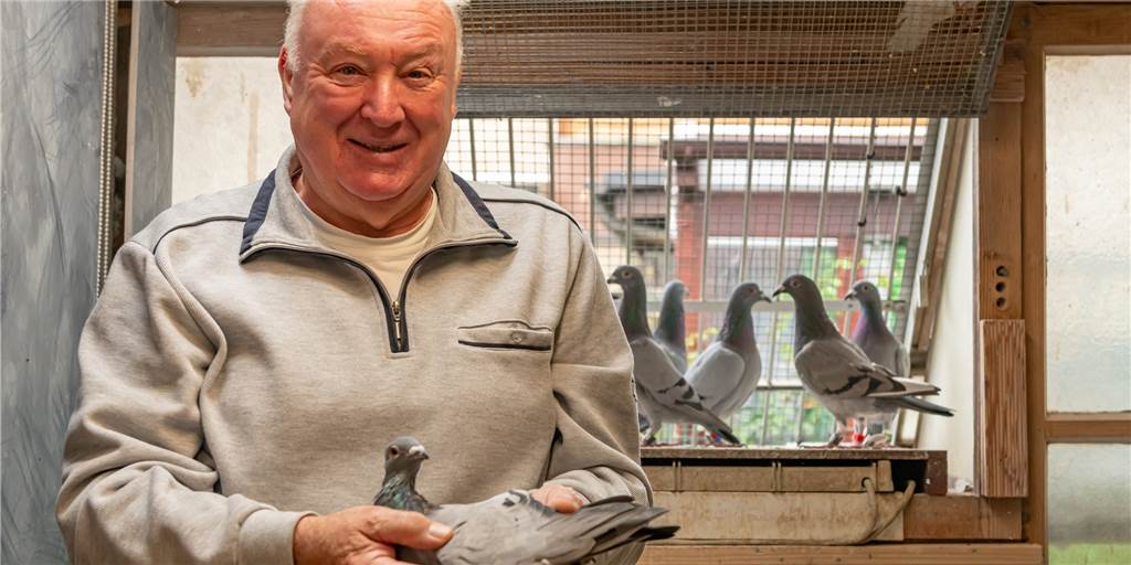 75-jähriger Lüner wird Meister bei der „Jung-Meisterschaft“ Karl Heinz Tiemann aus Lünen ist Deutscher Meister in der Kategorie "Jung-Meisterschaft" im Taubensport geworden. Hier hält er eine seiner Spitzentauben.