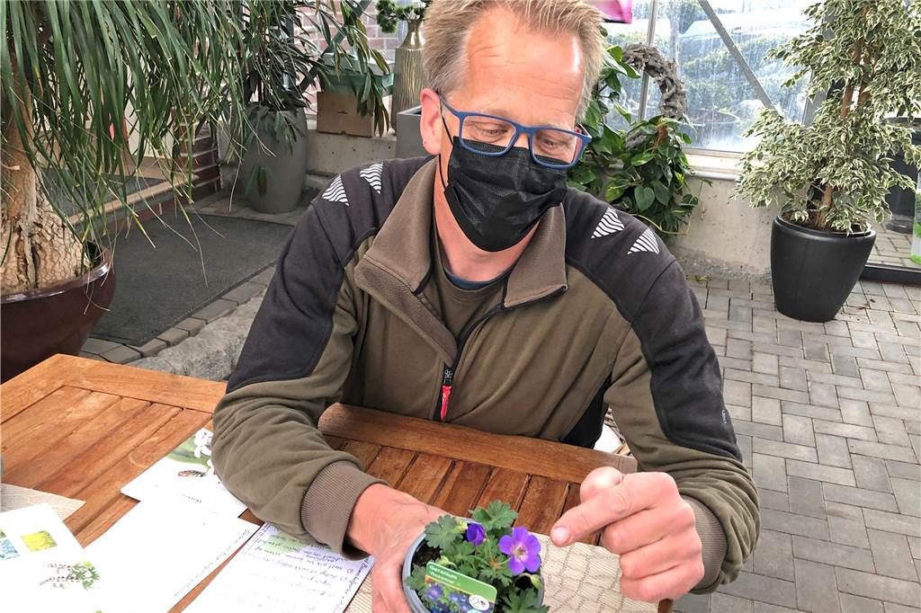 Vorgärten in Haltern: So werden sie zum Konzertsaal für Bienen Karsten Schwalvenberg empfiehlt als Bodendecker das Geranium.