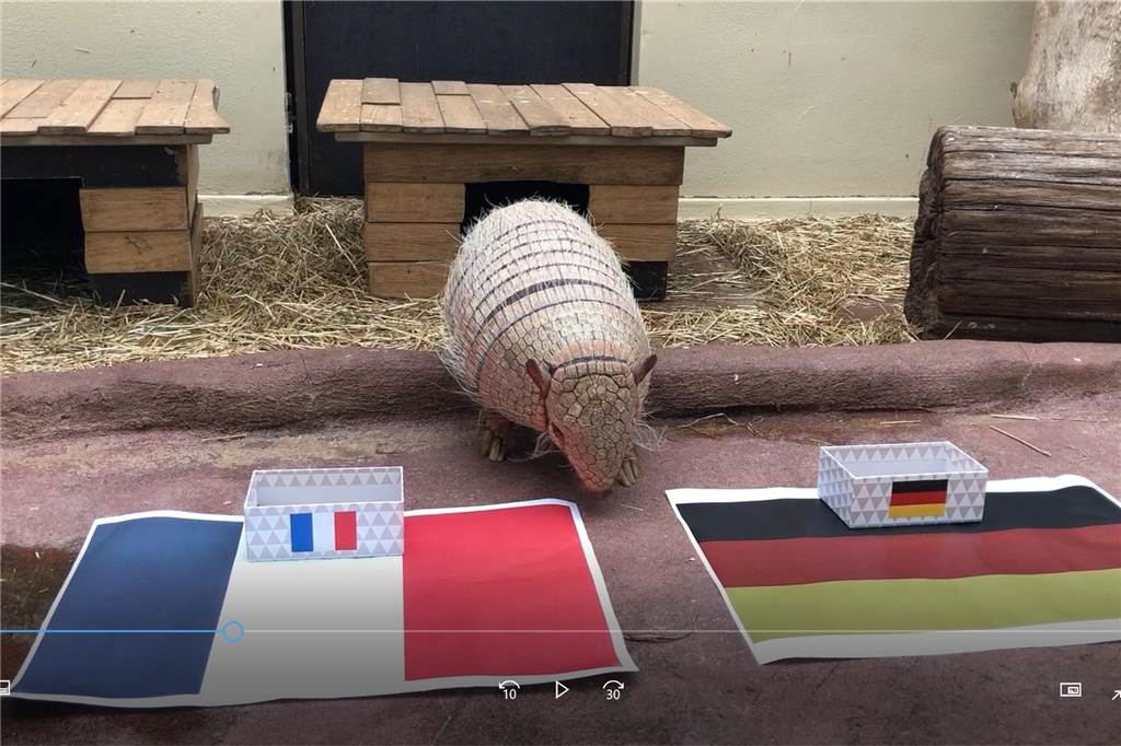 Kasimir als Orakel bei der Fußball-EM 2021.