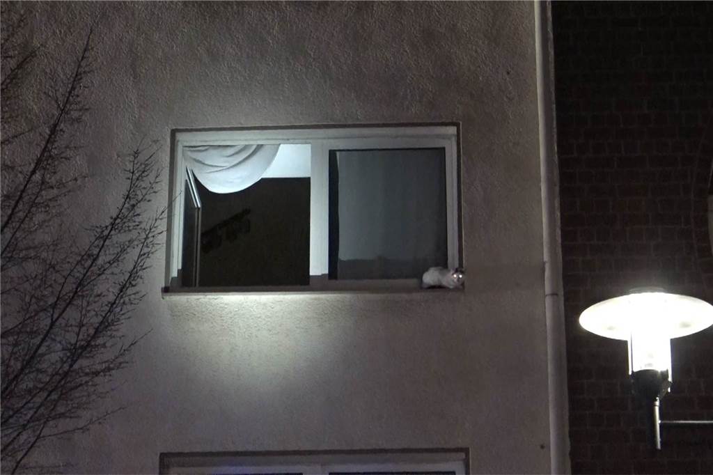 Weißer Kater sitzt auf Fenstersims.