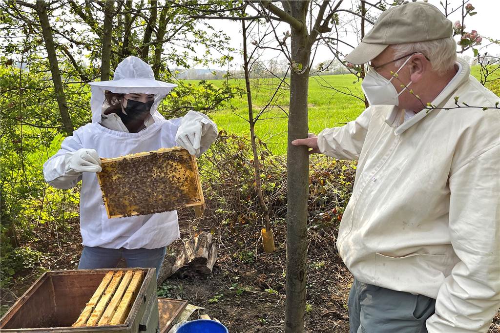 „Haustier“ Bienenkönigin: Junge Frauen sorgen für Leben auf Bolles Wiese Katharina Lohrmann lernt das Imkern. Das Hobby erfordert Begeisterung und Engagement - und Hilfe von erfahrenen Bienenfachleuten wie Paul Dirks.