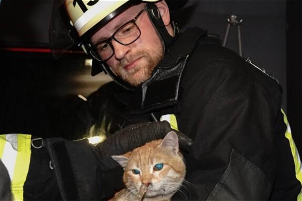 Kleines Wunder: Anita Junghold-Petry hält ihre totgeglaubte Katze im Arm Katze Sükrü wurde aus der Brandwohnung gerettet und mit Sauerstoff versorgt.