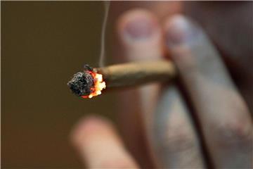 Kein Bedürfnis nach einem Joint: 68 Prozent geben an, Cannabis noch nie konsumiert zu haben. Foto: Oliver Berg