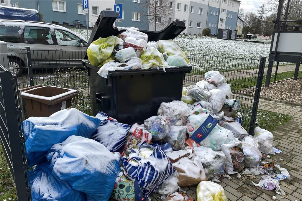 Müll-Chaos frustriert Anwohner in der Lippmannstraße In der Lippmannstraße in Dortmund-Rahm wird seit Wochen der Müll nicht abgefahren.