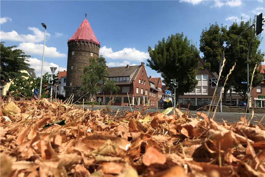 Klimawandel in Haltern: Stadt plant „Rahmenplan Klimaanpassung“ Kein Herbstlaub, sondern Trockenheit in Haltern im Juli 2018: Der Klimawandel wird lange Dürreperioden mit sich bringen.
