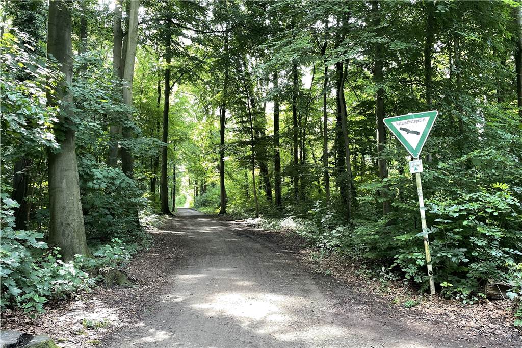 Sexuelle Belästigung in Dortmunder Wald – Kim (26): „Das ist gruselig“ Kein Mensch war in der Nähe, als die junge Frau im Dorneywald von einem Mann mehrfach unsittlich berührt wurde.