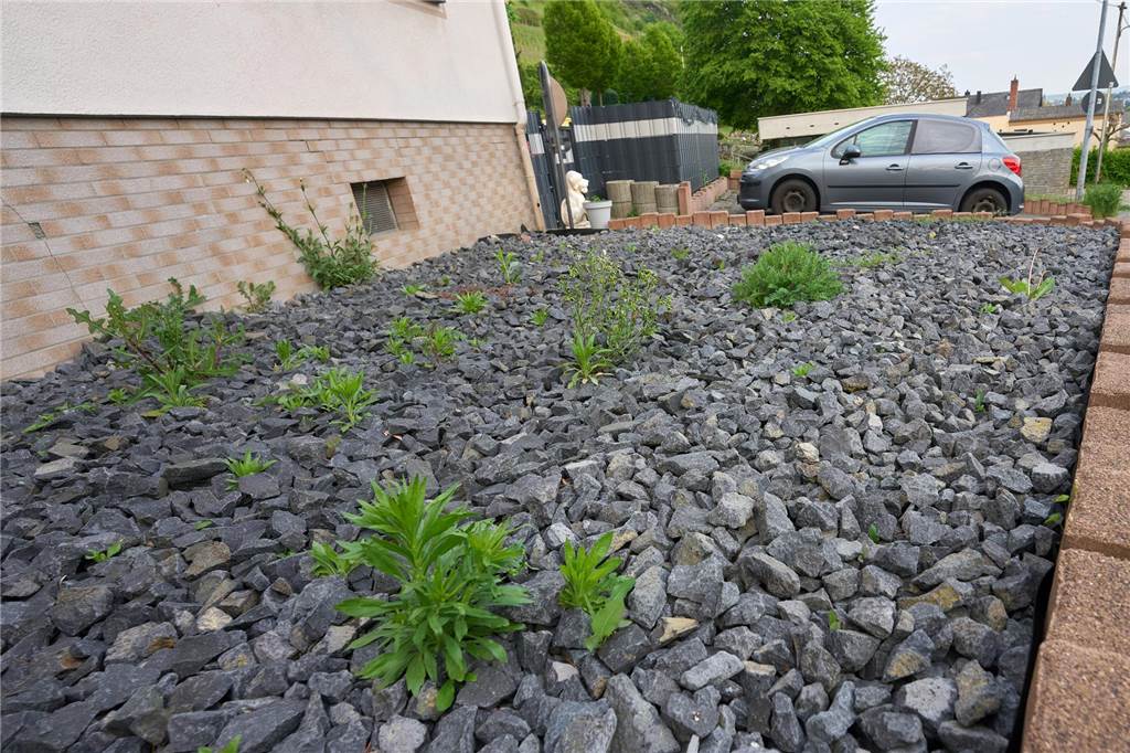 Klimaanpassung: Wasser im Galen-Park und insgesamt mehr Bäume Keine gute Maßnahme zur Klimaanpassung: Schottergärten heizen sich an heißen Tagen extrem auf.