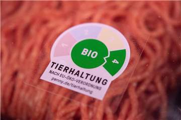 Kennzeichnung von Rinderhackfleisch mit der Stufe "Bio" im Kühlregal bei Penny. Foto: Marius Becker