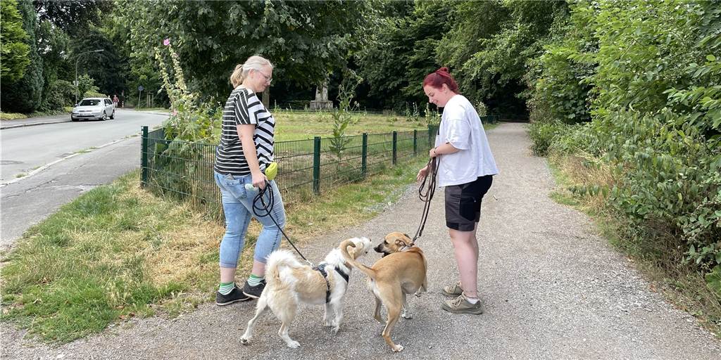 Sexuelle Belästigung in Dortmunder Wald – Kim (26): „Das ist gruselig“ Kim (26, r.), hier mit ihrer Bekannten Tanja, hat selbst mit ihrem Hund ein mulmiges Gefühl, wenn sie alleine im Wald unterwegs ist. Denn sie ist im selben Alter wie die Frau, die hier Opfer einer sexuellen Belästigung geworden ist.