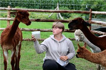 Kim Brömmelhaus kümmert sich in Deuten um eine kleine Herde Alpakas.