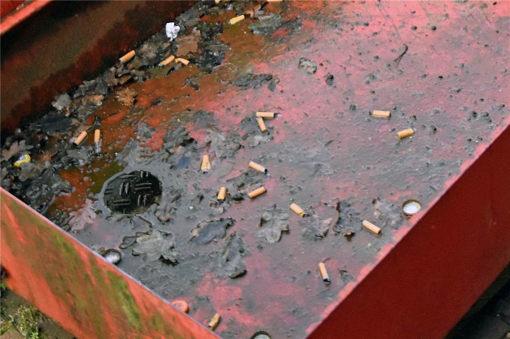 Einbrecher hinterlassen Kothaufen vorm Vereinsheim, anstatt etwas zu stehlen Kippenstummel waren noch die harmlosere Verschmutzung auf der Terasse des Vereinsheims.
