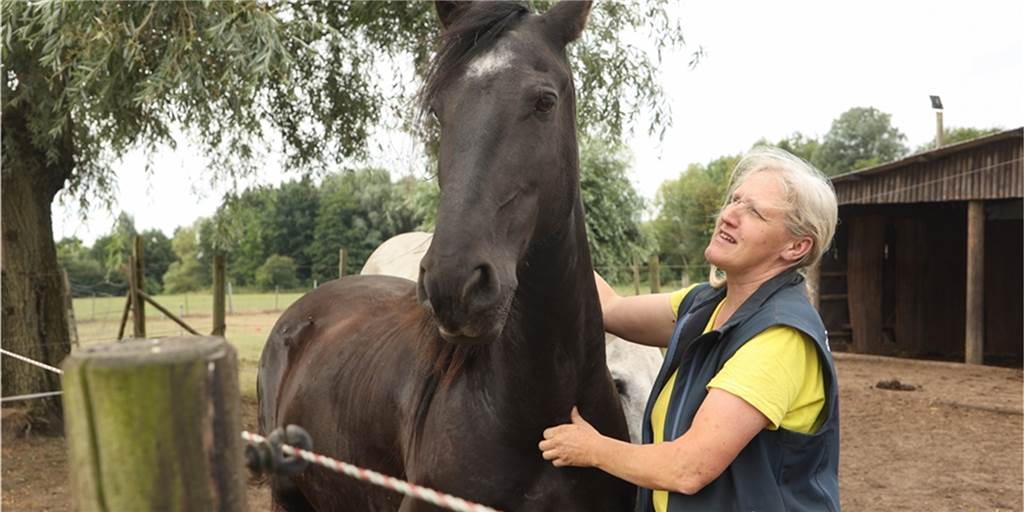 Futtermittelkosten: Aufnahmestopp auf dem Rheder Gnadenhof Kirstin Niehaves bewirtschaftet seit gut 30 Jahren den Gnadenhof in Rhede, auf dem Tiere wie Aid ein letztes Zuhause finden. Ein so schlechtes Jahr hat sie bislang aber noch nicht erlebt.