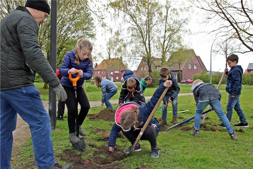 Kinder und Erwachsene griffen für den Dorfpark Capelle zum Spaten Klassenweise kamen die Kinder in den Dorfpark, um beim Aktionstag zu helfen.