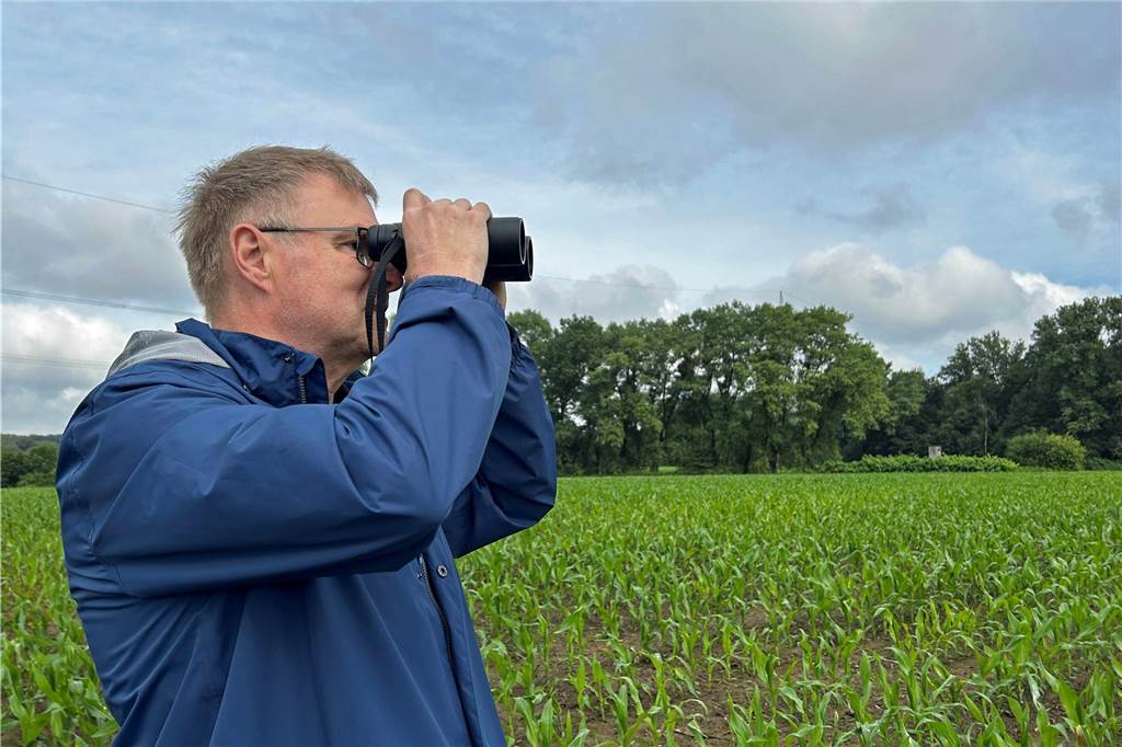 Zahl der Kiebitze sinkt dramatisch: Nur noch 18 Brutpaare in Werne Der Ornithologe Klaus Nowack blickt durch sein Fernglas